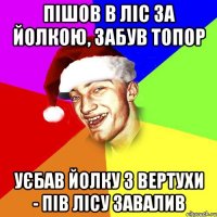 пішов в ліс за йолкою, забув топор уєбав йолку з вертухи - пів лісу завалив