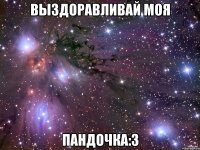 Выздоравливай моя пандочка:3