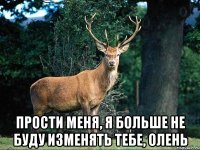  Прости меня, я больше не буду изменять тебе, олень