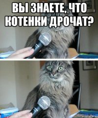 Вы знаете, что котенки дрочат? 