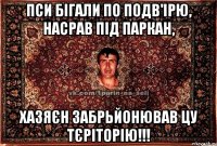 пси бігали по подв'ірю, насрав під паркан, хазяєн забрьйонював цу тєріторію!!!