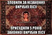 Зловили за незаконну вирубку лісу присудили 5 років законної вирубки лісу