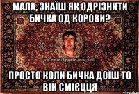 мала, знаїш як одрізнити бичка од корови? просто коли бичка доїш то він смієцця