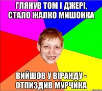 глянув том і джері, стало жалко мишонка вийшов у віранду - отпиздив мурчика