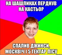 на шашликах перднув на кастьор спалив джинси, москвіч і 5 гектар лісу