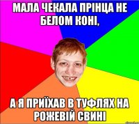 Мала чекала прінца не белом коні, а я приїхав в туфлях на рожевій свині