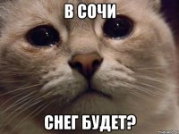 В сочи снег будет?