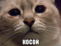  Косой