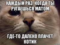 каждый раз, когда ты ругаешься матом где-то далеко плачет котик