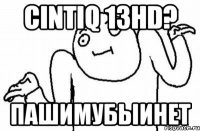 CINTIQ 13HD? пашимубыинет