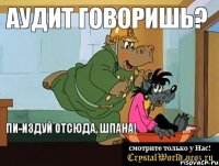 АУДИТ ГОВОРИШЬ? ПИ-ИЗДУЙ ОТСЮДА, ШПАНА!