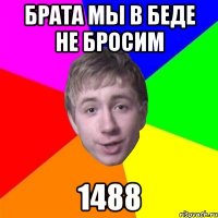 Брата мы в беде не бросим 1488