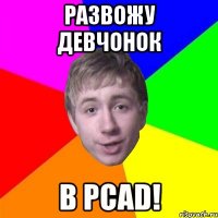 Развожу девчонок в PCAD!