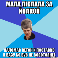 МАЛА ПІСЛАЛА ЗА ЙОЛКОЙ НАЛОМАВ ВЕТОК И ПОСТАВИВ В ВАЗУ БО БУВ НЕ ВСОСТОЯНЕЕ