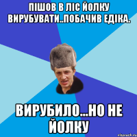 пішов в ліс йолку вирубувати..побачив Едіка. вирубило...но не йолку