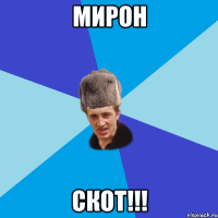 Мирон СКОТ!!!