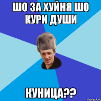 шо за хуйня шо кури души куница??