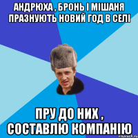 Андрюха , Бронь і Мішаня празнують Новий Год в селі Пру до них , составлю компанію