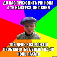 до нас приходить рік Коня, а ти нажерся, як свиня той день вже можеш пробухати, бо будеш год як конь пахати