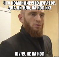 Что командир что куратор, два ди*ила, на кол их! Шучу. Не на кол