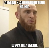 Лебеди и Денин полетели на юг. Шучу, не лебеди.