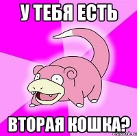 У тебя есть Вторая кошка?