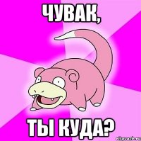 чувак, ты куда?