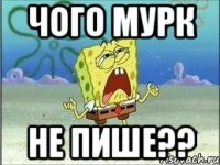 Чого мурк не пише??