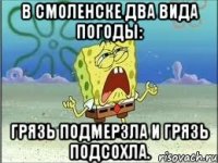 в Смоленске два вида погоды: грязь подмерзла и грязь подсохла.