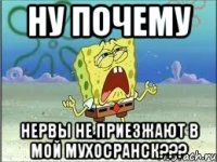 ну почему нервы не приезжают в мой мухосранск???