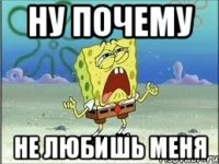 Ну почему не любишь меня