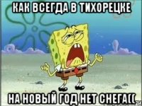 Как всегда в Тихорецке на Новый Год нет снега((