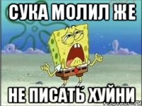 Сука молил же не писать хуйни