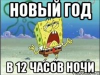 новый год в 12 часов ночи