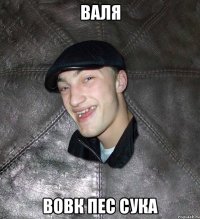 валя вовк пес сука