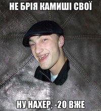 Не БРІЯ КАМИШІ СВОЇ НУ НАХЕР, -20 ВЖЕ