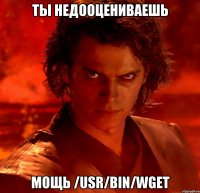 Ты недооцениваешь мощь /usr/bin/wget