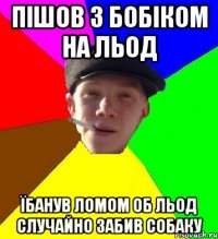 пішов з бобіком на льод їбанув ломом об льод случайно забив собаку