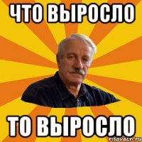 Что выросло то выросло. Вырос Мем. Мемы выросли. Выросла Мем негр.