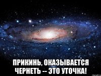  Прикинь, оказывается чЕрнеть -- это уточка!