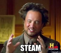  Steam