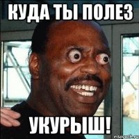 Куда ты полез Укурыш!