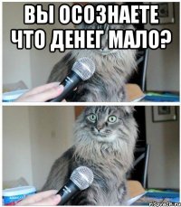 Вы осознаете что денег мало? 