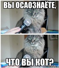 Вы осаознаёте, что вы кот?