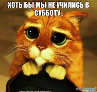 Хоть бы мы не учились в субботу.. 