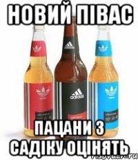 новий півас пацани з садіку оцінять