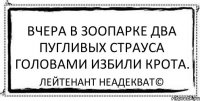 Вчера в зоопарке два пугливых страуса головами избили крота. Лейтенант Неадекват©