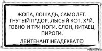 Жопа, лошадь, самолёт. Гнутый п*дор, лысый кот. Х*й, говно и три ноги. Слон, китаец, пироги. Лейтенант Неадекват©