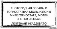 енотовидная собака, и горностаевая моль. изгои в мире горностаев, молей енотов и собак! Лейтенант Неадекват©