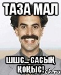 ТАЗА МАЛ ШШС... САСЫҚ ҚОҚЫС!